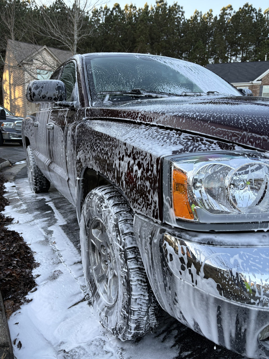 Basic Exterior Wash